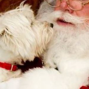 Meet your Posher, Judie